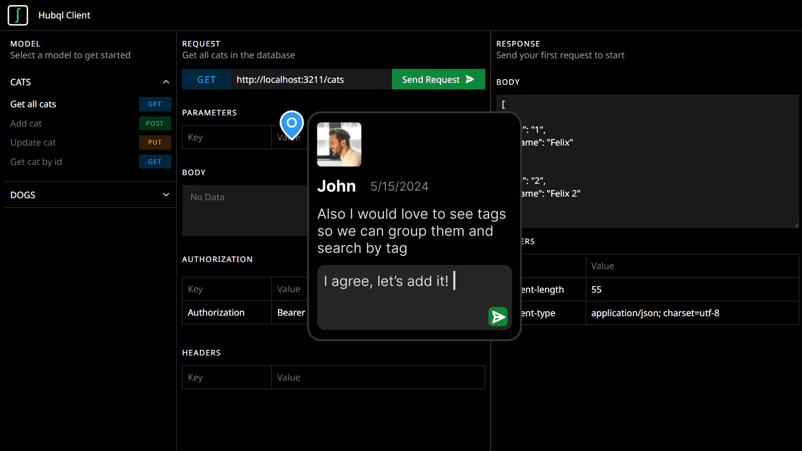 Comment in Hubql Client